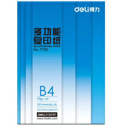 得力（deli）莱茵河4包装70gB4复印纸 500张/包 整箱2000张_http://www.chuangxinoa.com/img/images/C201903/1553061803428.png