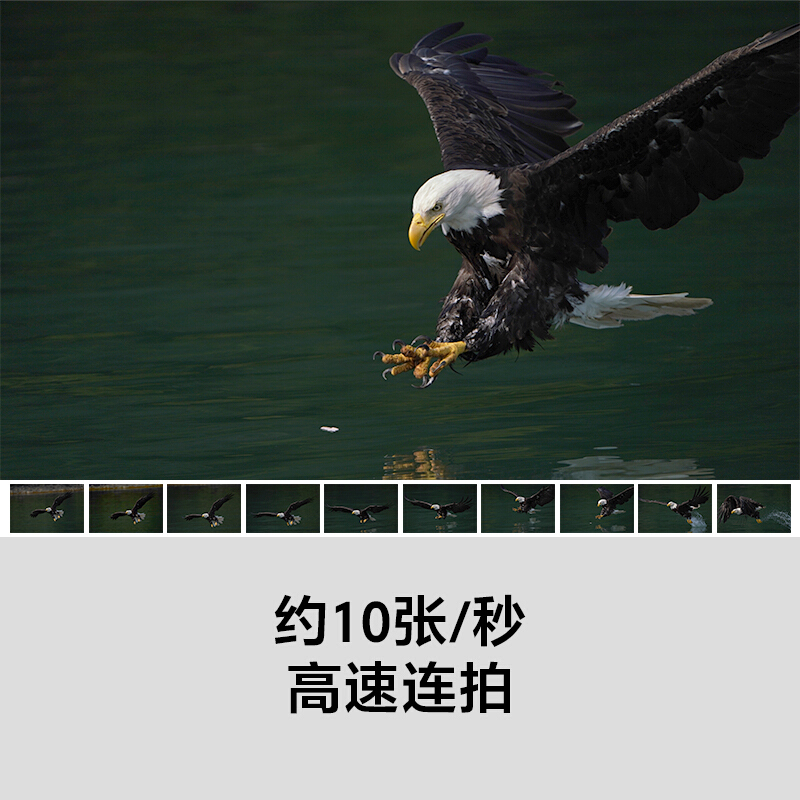 索尼（SONY）Alpha 7R III 机身 全画幅微单数码相机（约4240万有效像素 5轴防抖 a7RM3/a7r3/a73）_http://www.chuangxinoa.com/img/images/C202009/1600761410531.jpg