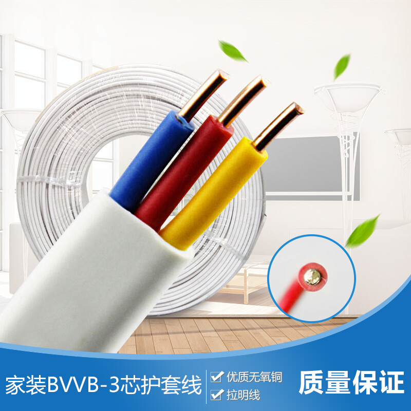 起帆（QIFAN） 电缆 BVVB 3芯*6平方 家装护套铜芯硬线 BVVB 3*6平方 100米/卷_http://www.chuangxinoa.com/img/images/C202108/1629698568954.jpg