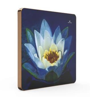  VE音乐壁智能教学扩声系统 E50D植物系列_http://www.chuangxinoa.com/img/sp/images/C201811/1541648192678.jpg