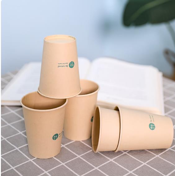得力（deli）250ml一次性纸杯厚实竹纤维本色纸水杯加厚隔热家用杯50只装_http://www.chuangxinoa.com/newimg/C202603/1773650587259.jpg